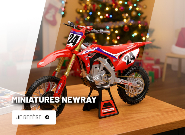 Bloc Image - Miniatures NewRay Noël