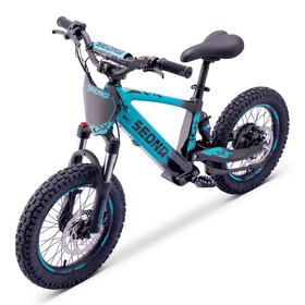 Draisienne électrique Sedna SX 16 Bleu (6)