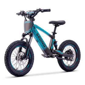 Draisienne électrique Sedna SX 16 Bleu (7)