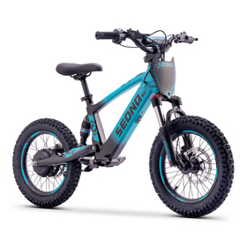 Draisienne électrique Sedna SX 16 Bleu (8)
