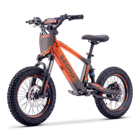 Draisienne électrique Sedna SX 16 Orange (7)