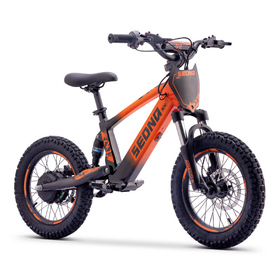 Draisienne électrique Sedna SX 16 Orange (8)