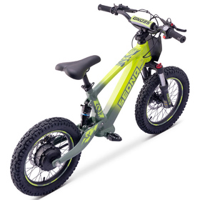 Draisienne électrique Sedna SX 16 Vert (2)