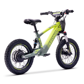 Draisienne électrique Sedna SX 16 Vert (3)