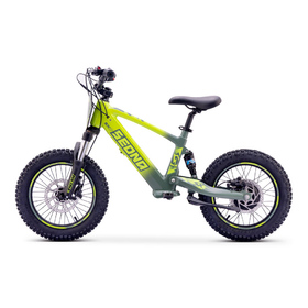 Draisienne électrique Sedna SX 16 Vert (5)