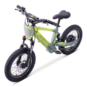 Draisienne électrique Sedna SX 16 Vert (6)