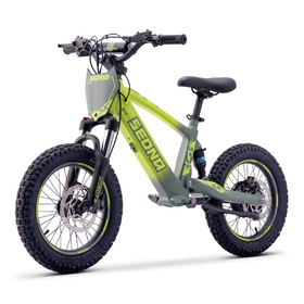 Draisienne électrique Sedna SX 16 Vert (7)