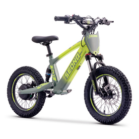 Draisienne électrique Sedna SX 16 Vert (8)