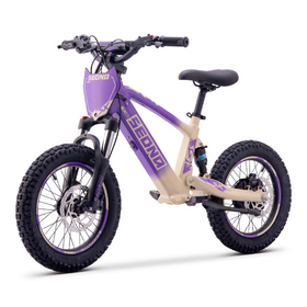 Draisienne électrique Sedna SX 16 Violet (7)