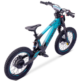 Draisienne électrique Sedna SX 18 Bleu (2)