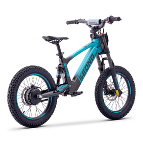 Draisienne électrique Sedna SX 18 Bleu (3)