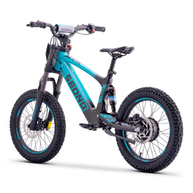 Draisienne électrique Sedna SX 18 Bleu (4)