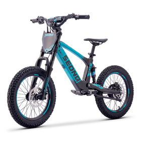 Draisienne électrique Sedna SX 18 Bleu (7)
