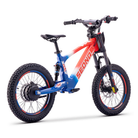 Draisienne électrique Sedna SX 18 Bleu-Blanc-Rouge (3)