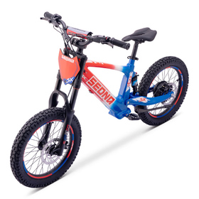 Draisienne électrique Sedna SX 18 Bleu-Blanc-Rouge (6)