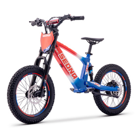 Draisienne électrique Sedna SX 18 Bleu-Blanc-Rouge (7)