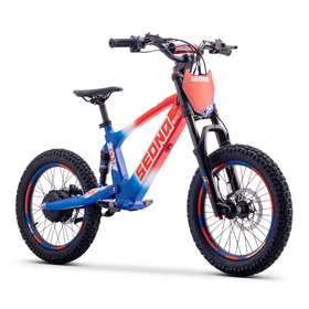Draisienne électrique Sedna SX 18 Bleu-Blanc-Rouge (8)