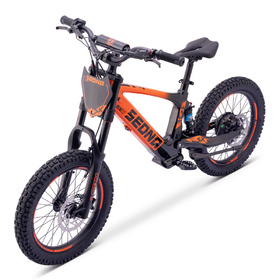 Draisienne électrique Sedna SX 18 Orange (6)