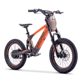 Draisienne électrique Sedna SX 18 Orange (8)