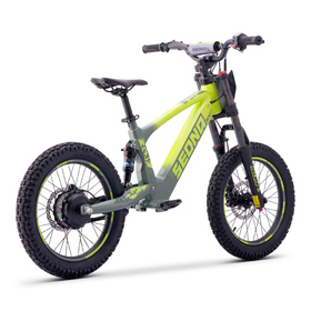 Draisienne électrique Sedna SX 18 Vert (3)