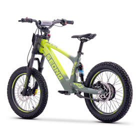 Draisienne électrique Sedna SX 18 Vert (4)