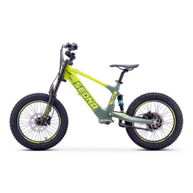 Draisienne électrique Sedna SX 18 Vert (5)