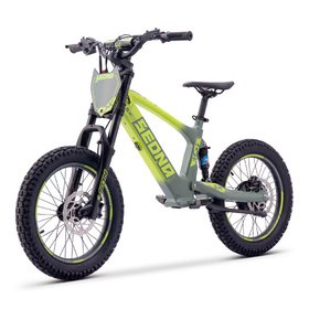Draisienne électrique Sedna SX 18 Vert (7)