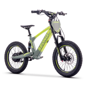 Draisienne électrique Sedna SX 18 Vert (8)