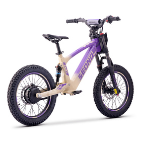 Draisienne électrique Sedna SX 18 Violet (3)