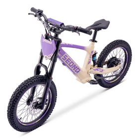 Draisienne électrique Sedna SX 18 Violet (6)