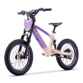Draisienne électrique Sedna SX 18 Violet (7)