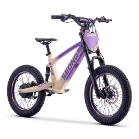 Draisienne électrique Sedna SX 18 Violet (8)