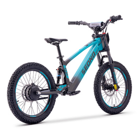 Draisienne électrique Sedna SX 20 Bleu (3)