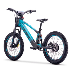 Draisienne électrique Sedna SX 20 Bleu (4)