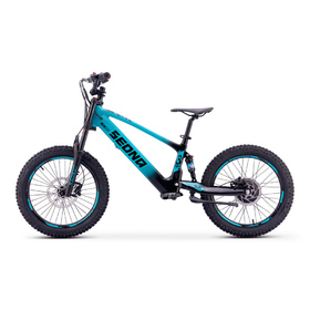 Draisienne électrique Sedna SX 20 Bleu (5)