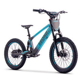Draisienne électrique Sedna SX 20 Bleu (8)