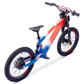Draisienne électrique Sedna SX 20 Bleu-Blanc-Rouge (2)