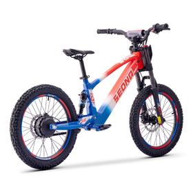 Draisienne électrique Sedna SX 20 Bleu-Blanc-Rouge (3)