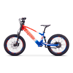 Draisienne électrique Sedna SX 20 Bleu-Blanc-Rouge (5)