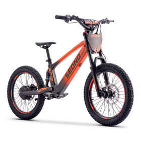 Draisienne électrique Sedna SX 20 Orange (8)