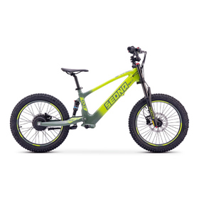 Draisienne électrique Sedna SX 20 Vert
