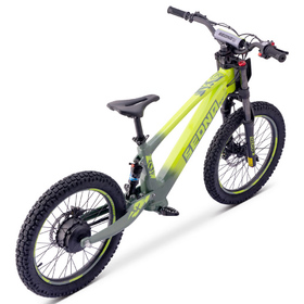 Draisienne électrique Sedna SX 20 Vert (2)