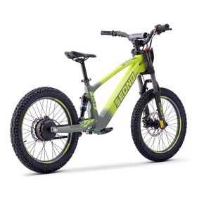 Draisienne électrique Sedna SX 20 Vert (3)