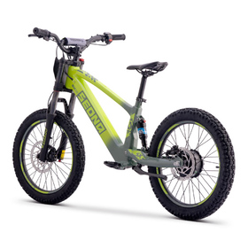 Draisienne électrique Sedna SX 20 Vert (4)