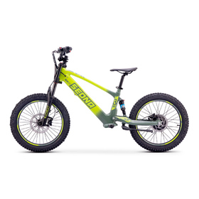 Draisienne électrique Sedna SX 20 Vert (5)