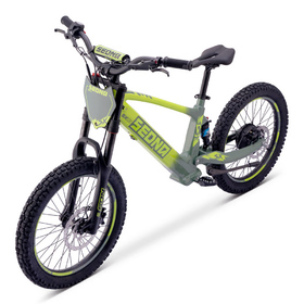 Draisienne électrique Sedna SX 20 Vert (6)