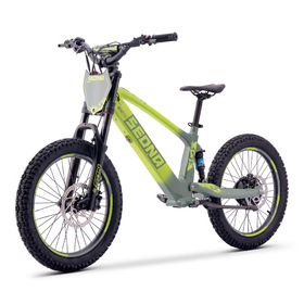 Draisienne électrique Sedna SX 20 Vert (7)