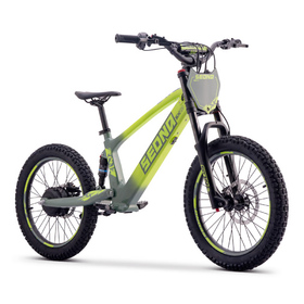 Draisienne électrique Sedna SX 20 Vert (8)