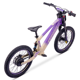 Draisienne électrique Sedna SX 20 Violet (2)
