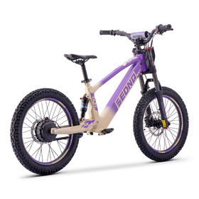 Draisienne électrique Sedna SX 20 Violet (3)